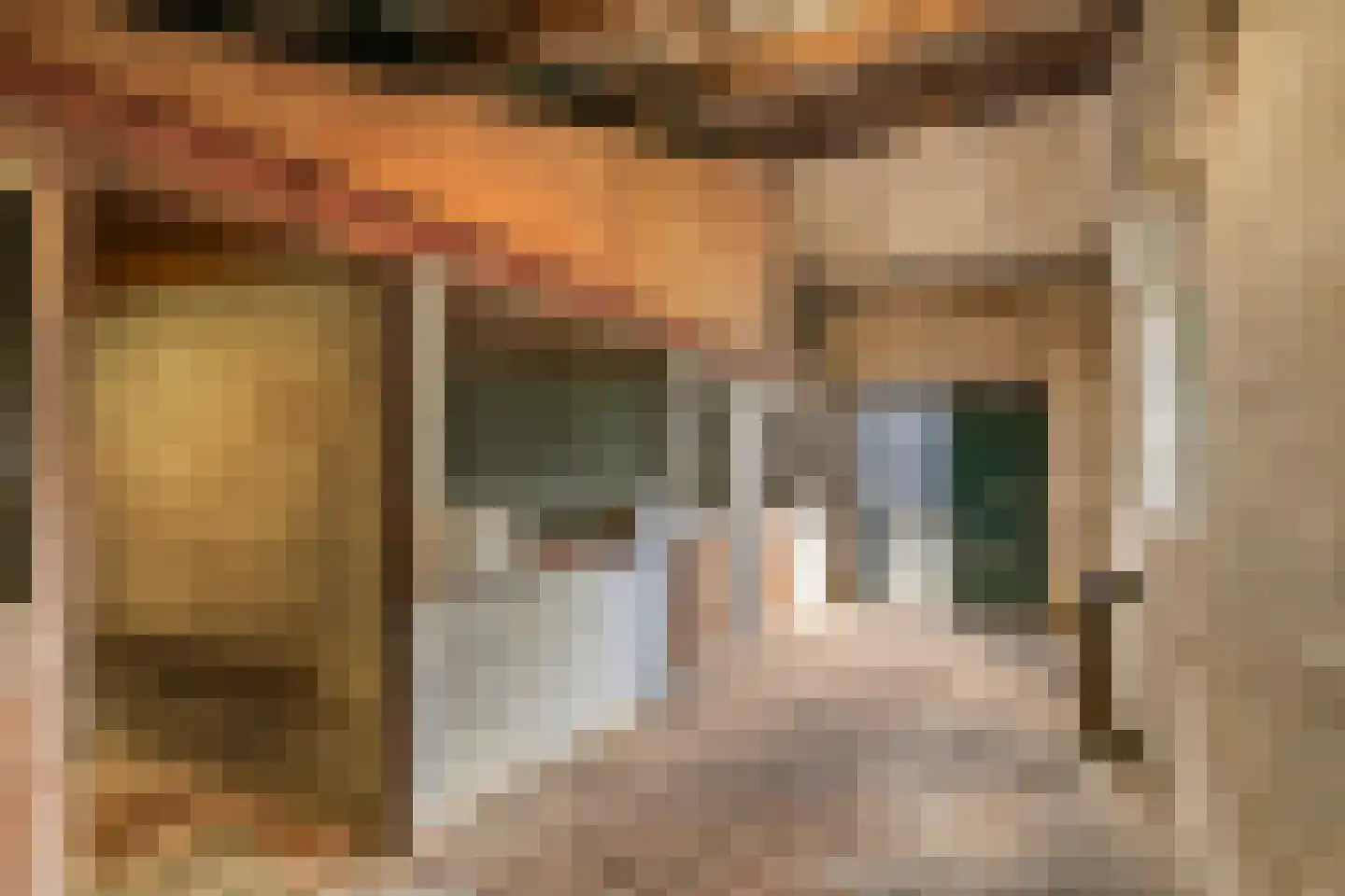Poppelenburgerstraat 2 Geldermalsen thumbnail 47