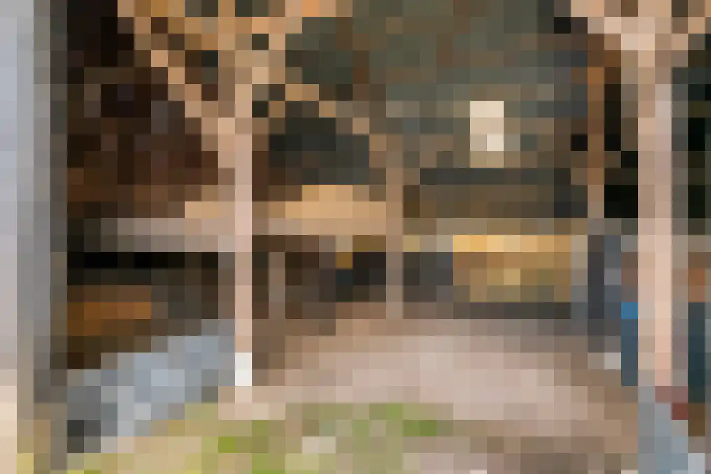Poppelenburgerstraat 2 Geldermalsen thumbnail 48