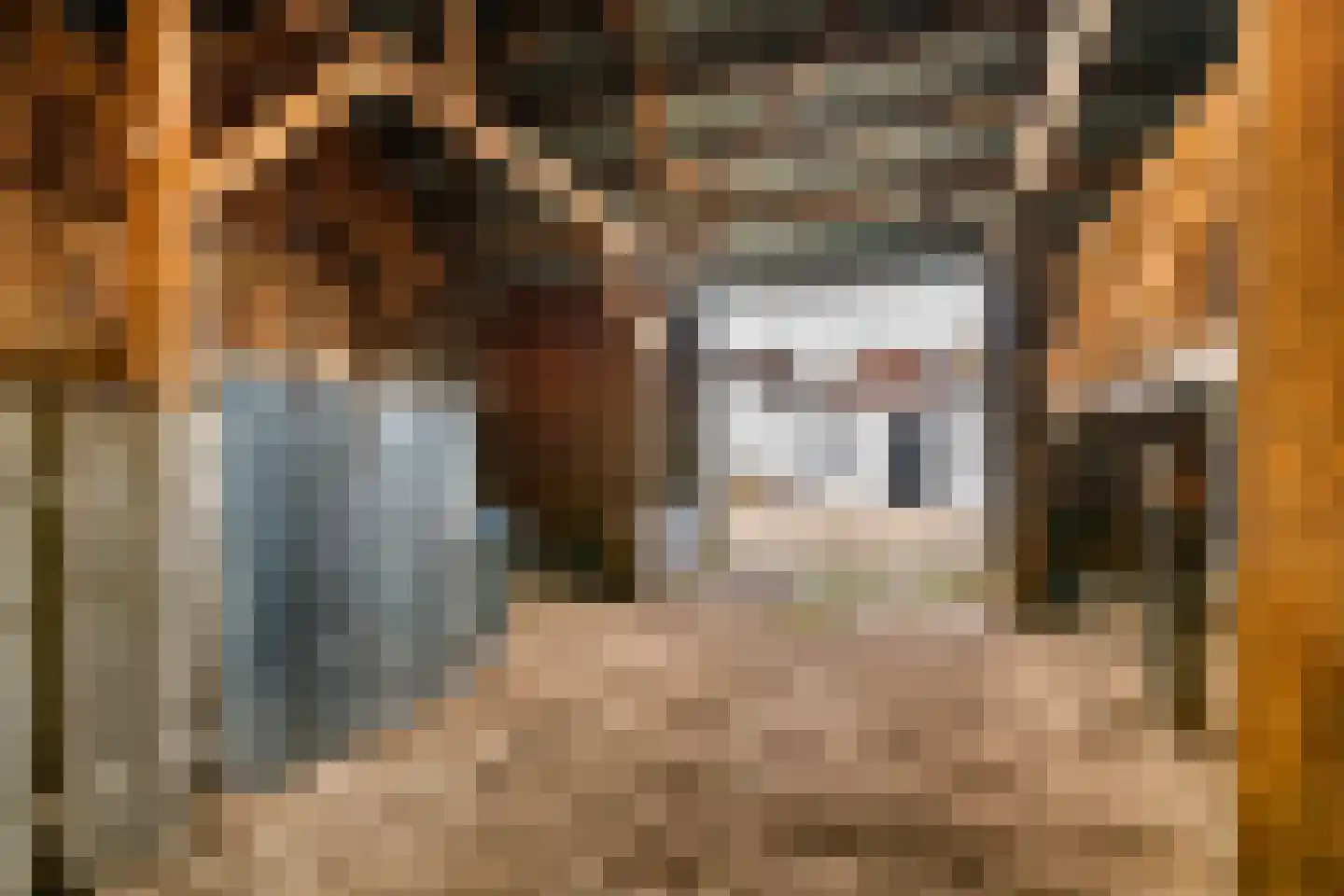 Poppelenburgerstraat 2 Geldermalsen thumbnail 49
