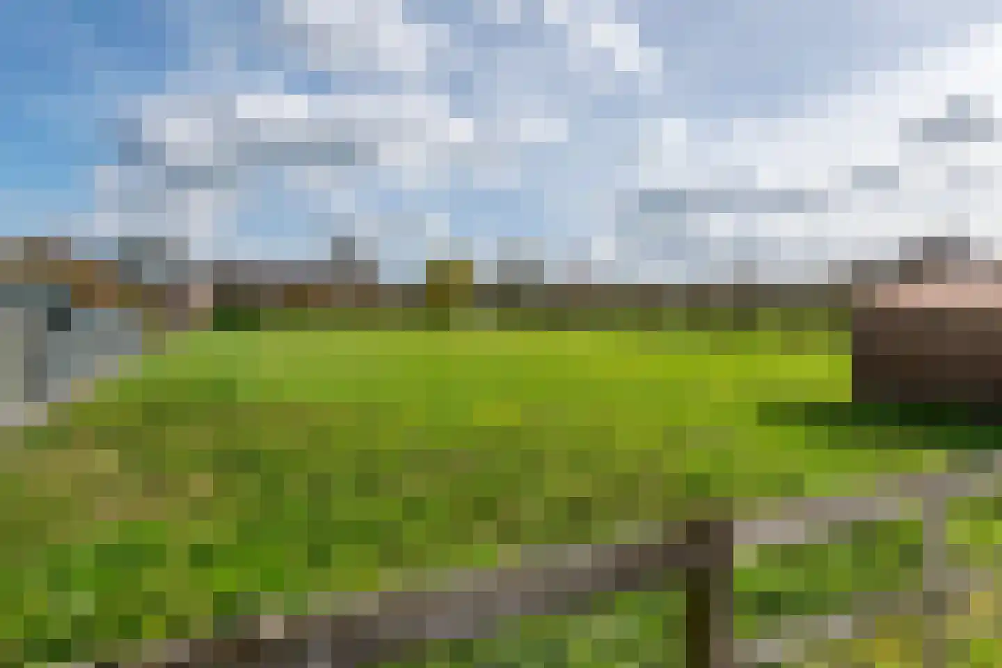 Poppelenburgerstraat 2 Geldermalsen thumbnail 5