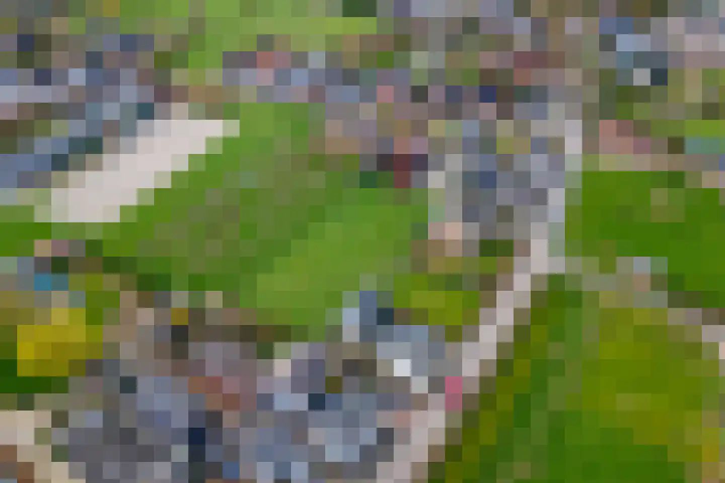 Poppelenburgerstraat 2 Geldermalsen thumbnail 51
