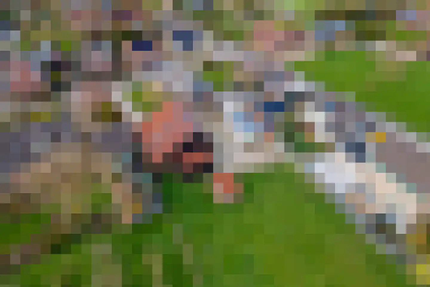 Poppelenburgerstraat 2 Geldermalsen thumbnail 53