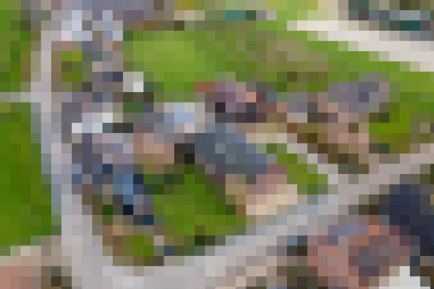 Poppelenburgerstraat 2 Geldermalsen thumbnail 57