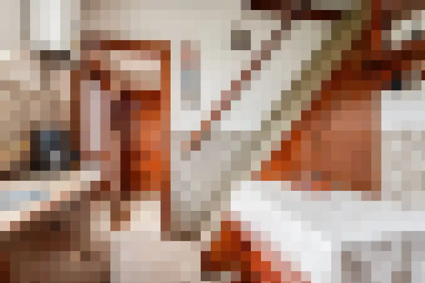 Poppelenburgerstraat 22 Geldermalsen thumbnail 15