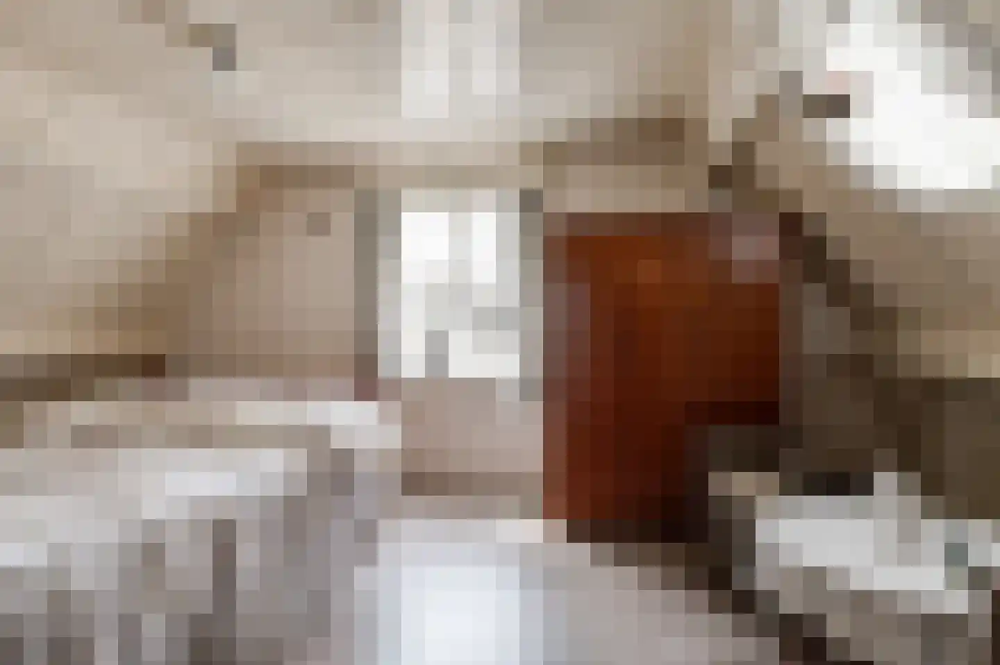 Poppelenburgerstraat 22 Geldermalsen thumbnail 17