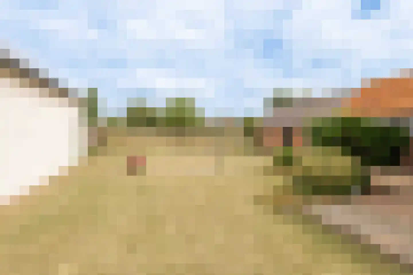 Poppelenburgerstraat 22 Geldermalsen thumbnail 25
