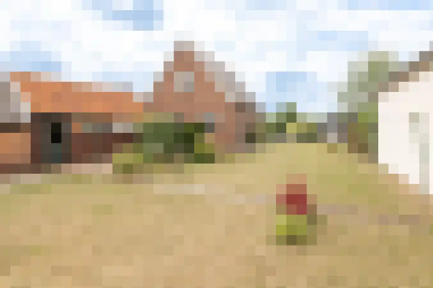 Poppelenburgerstraat 22 Geldermalsen thumbnail 27