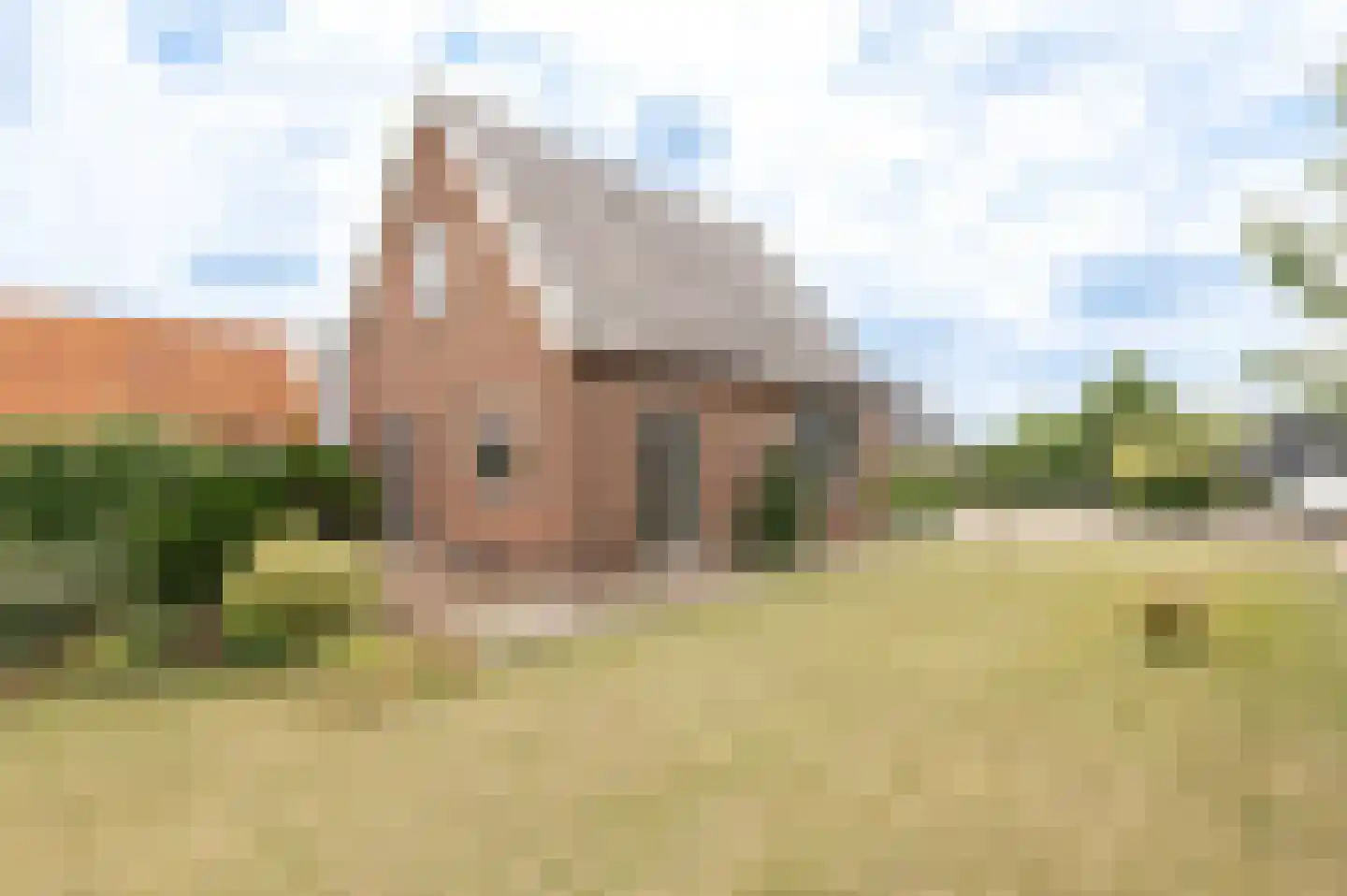 Poppelenburgerstraat 22 Geldermalsen thumbnail 28