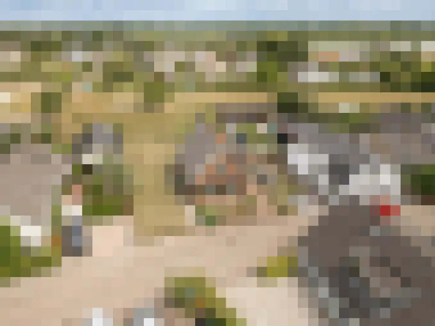 Poppelenburgerstraat 22 Geldermalsen thumbnail 29
