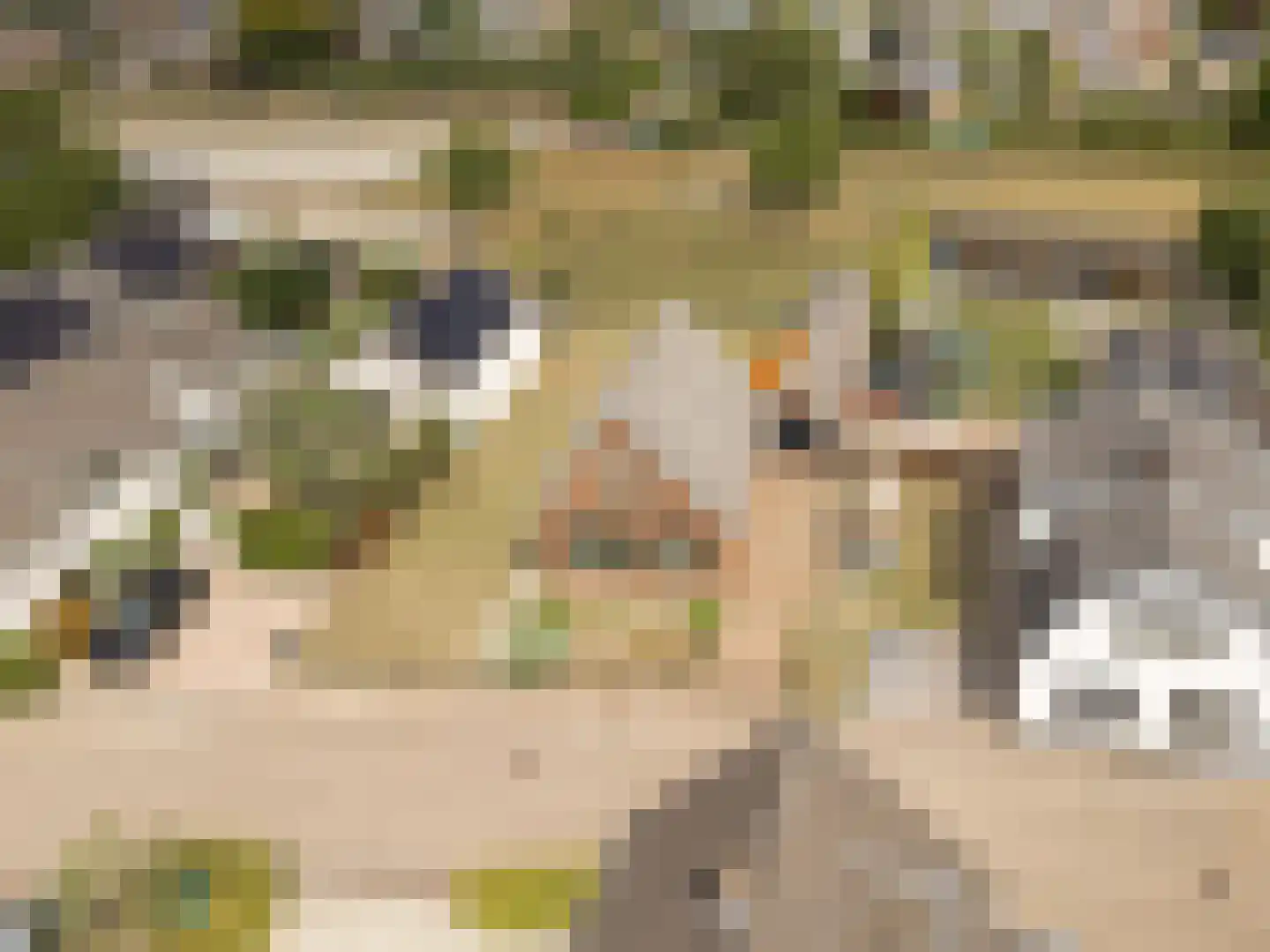 Poppelenburgerstraat 22 Geldermalsen thumbnail 30