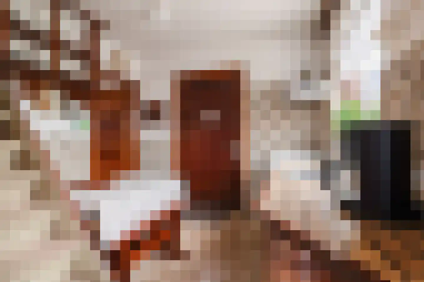 Poppelenburgerstraat 22 Geldermalsen thumbnail 4
