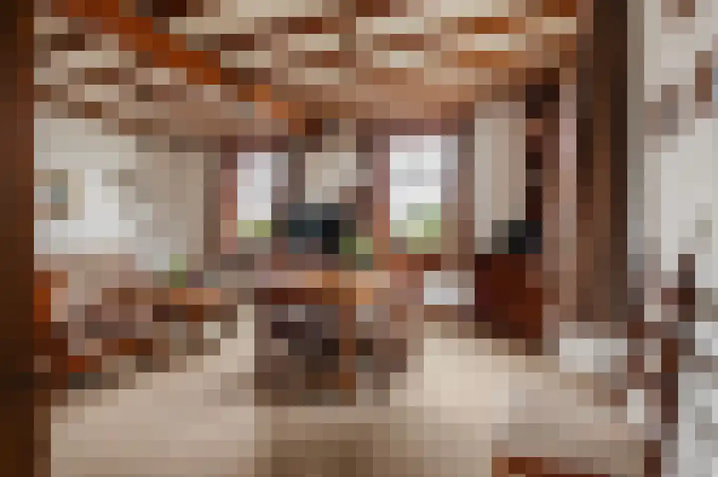 Poppelenburgerstraat 22 Geldermalsen thumbnail 5