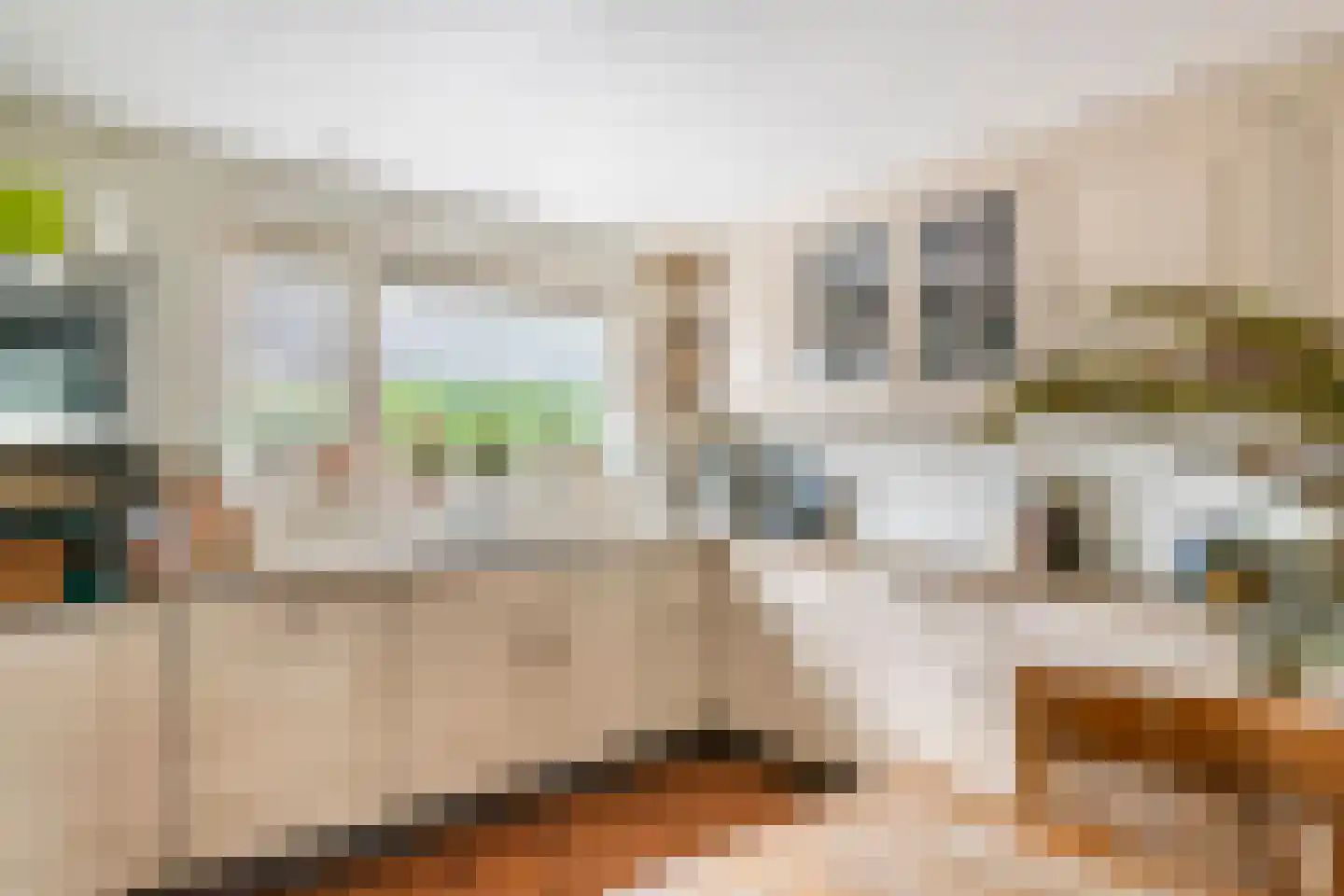 Poppelenburgerstraat 36 Geldermalsen thumbnail 14