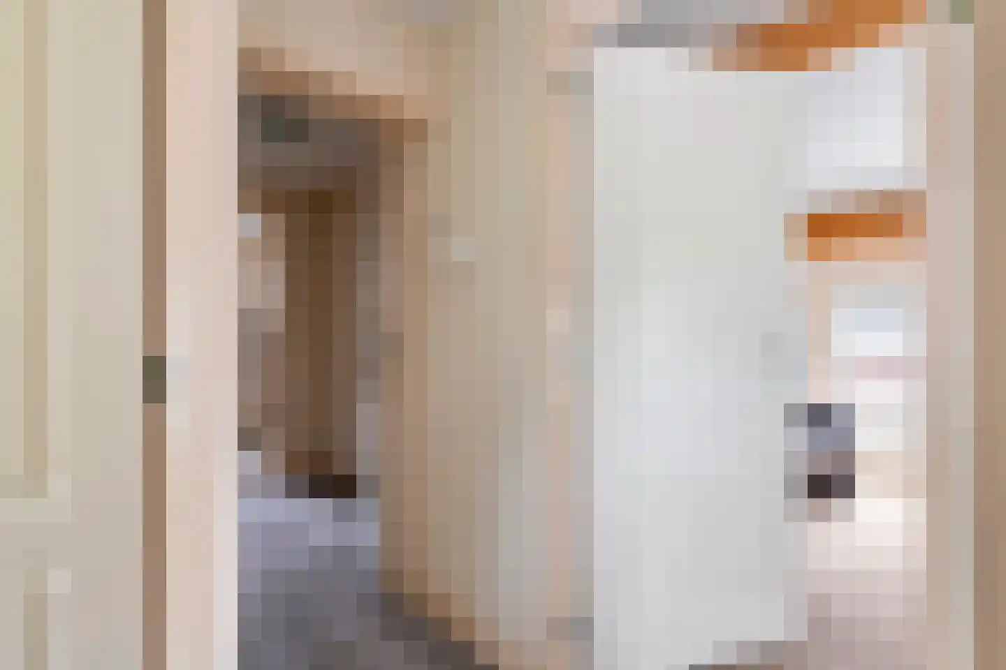 Poppelenburgerstraat 36 Geldermalsen thumbnail 23
