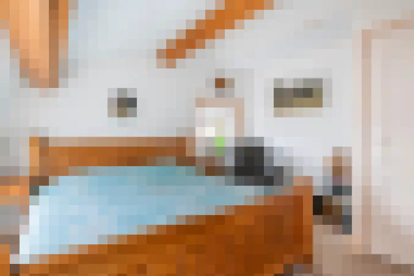 Poppelenburgerstraat 36 Geldermalsen thumbnail 26