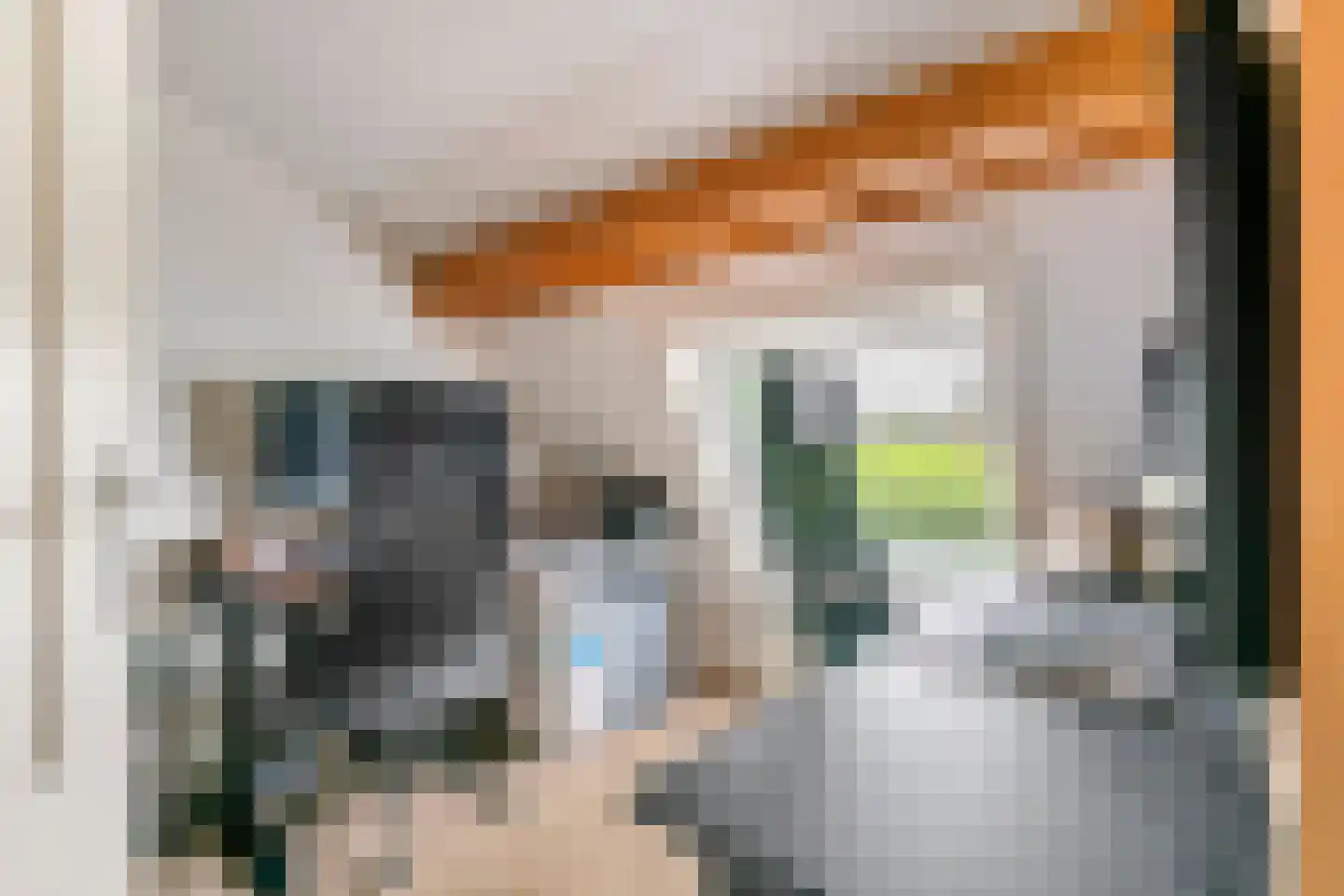 Poppelenburgerstraat 36 Geldermalsen thumbnail 28