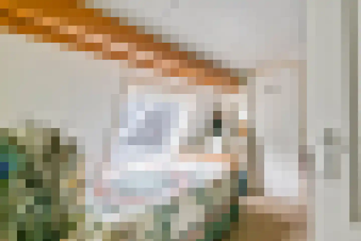 Poppelenburgerstraat 36 Geldermalsen thumbnail 29