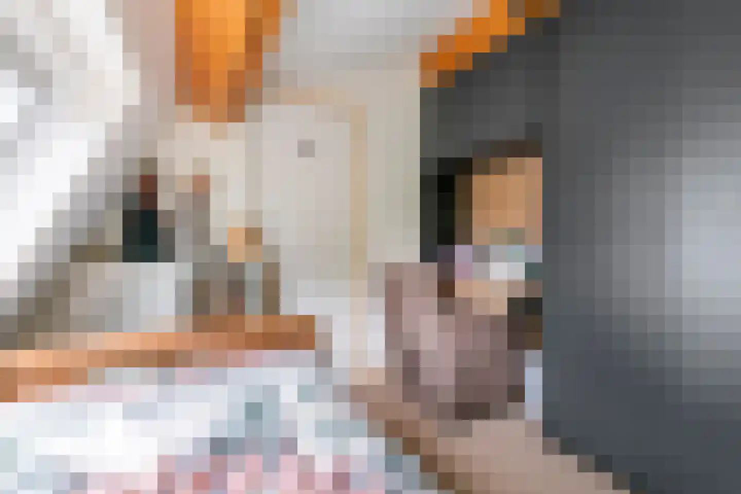 Poppelenburgerstraat 36 Geldermalsen thumbnail 30