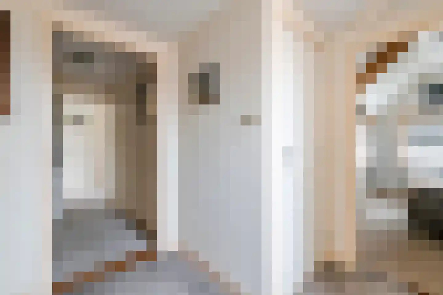 Poppelenburgerstraat 36 Geldermalsen thumbnail 31