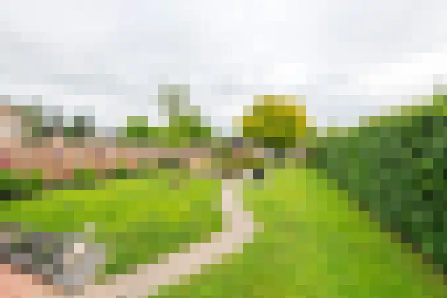 Poppelenburgerstraat 36 Geldermalsen thumbnail 39