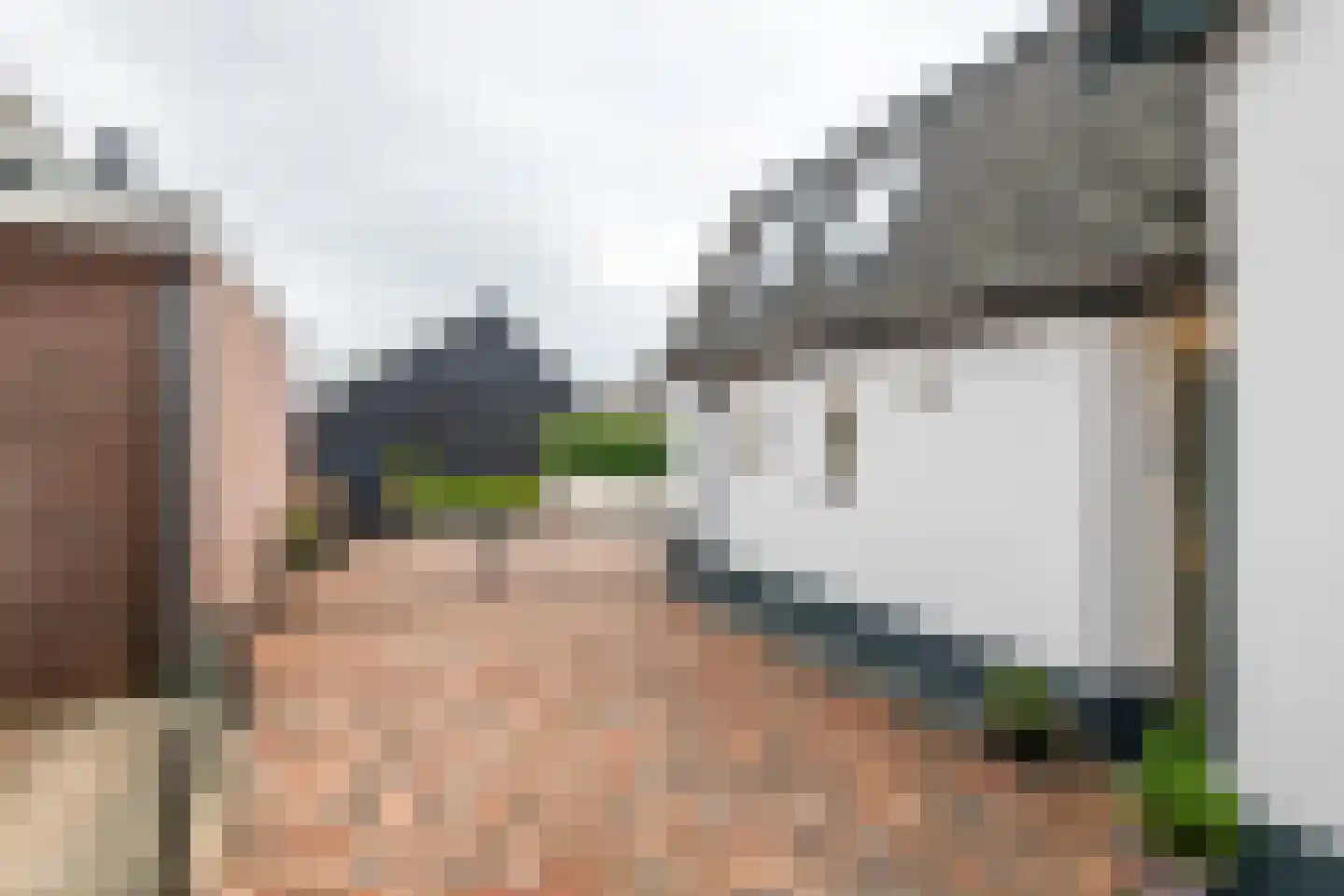 Poppelenburgerstraat 36 Geldermalsen thumbnail 4