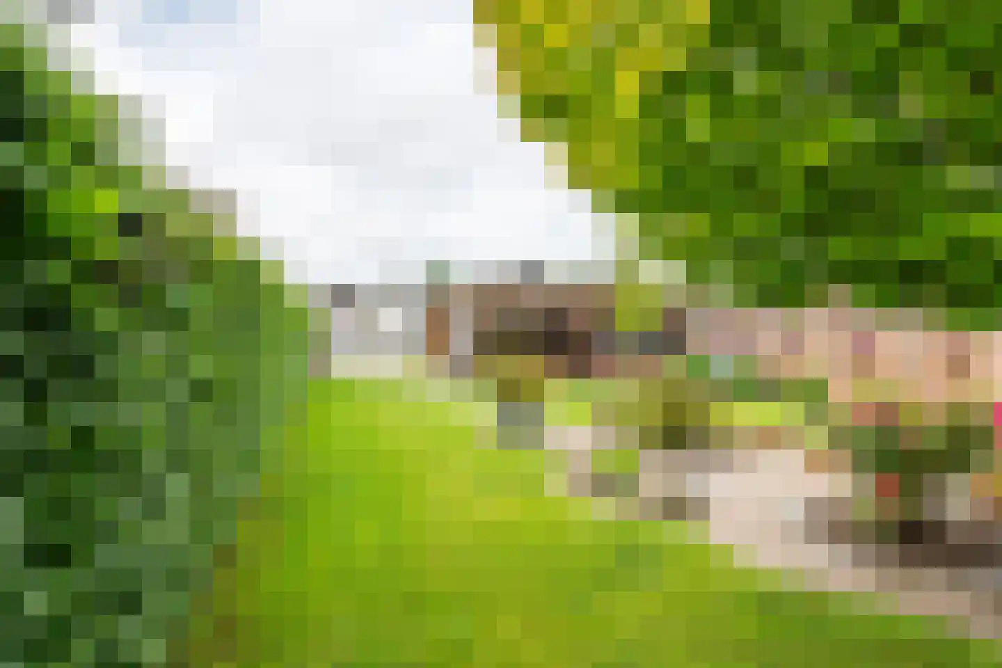 Poppelenburgerstraat 36 Geldermalsen thumbnail 40