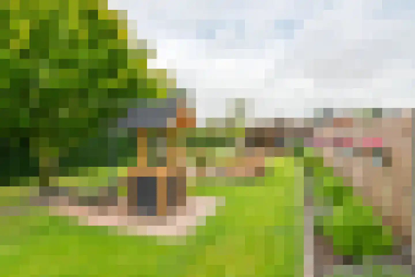 Poppelenburgerstraat 36 Geldermalsen thumbnail 41