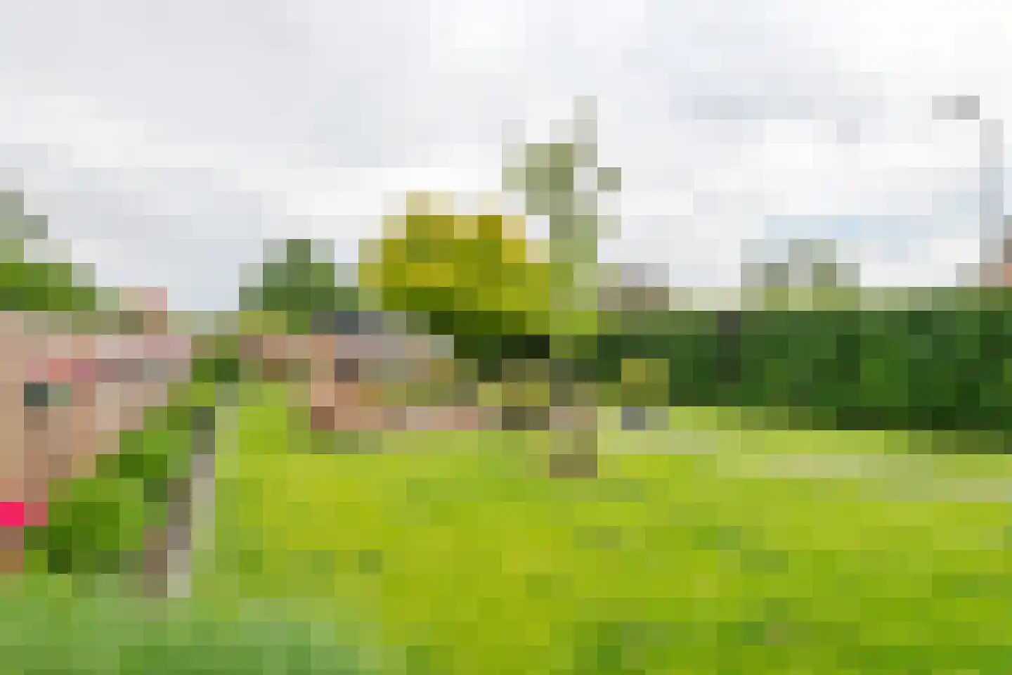 Poppelenburgerstraat 36 Geldermalsen thumbnail 46