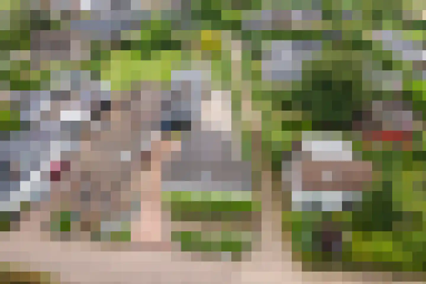 Poppelenburgerstraat 36 Geldermalsen thumbnail 48