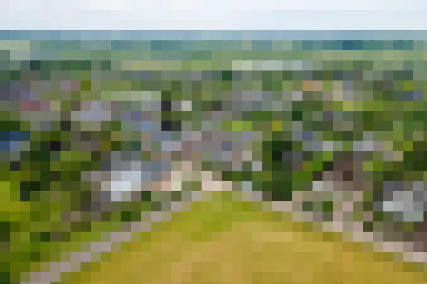 Poppelenburgerstraat 36 Geldermalsen thumbnail 52