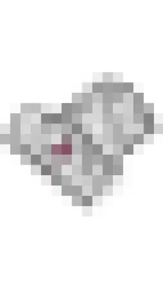 Poppelenburgerstraat 36 Geldermalsen thumbnail 56