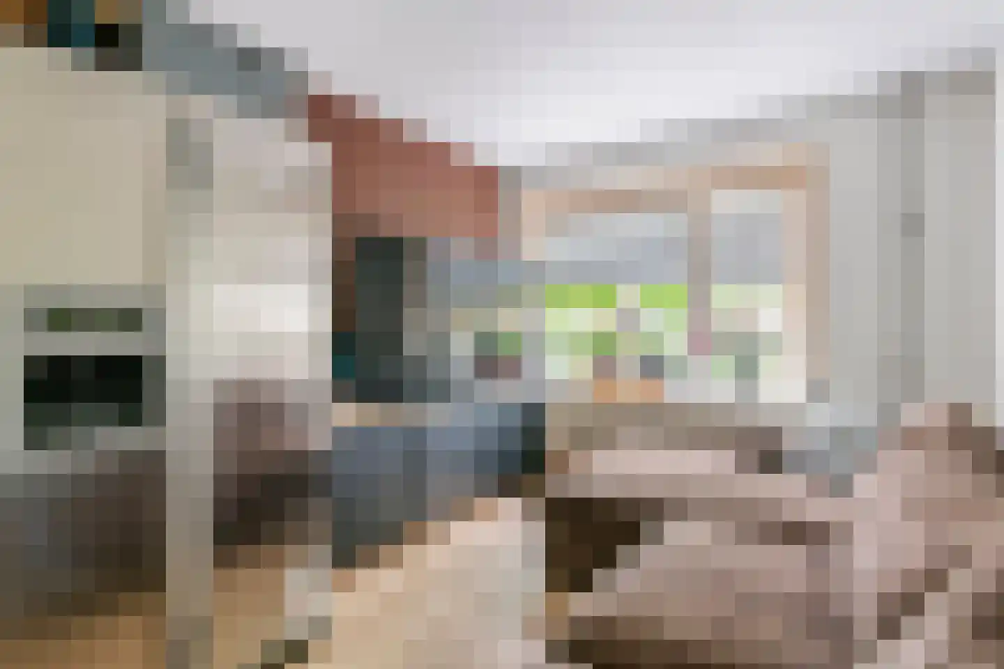 Poppelenburgerstraat 36 Geldermalsen thumbnail 7