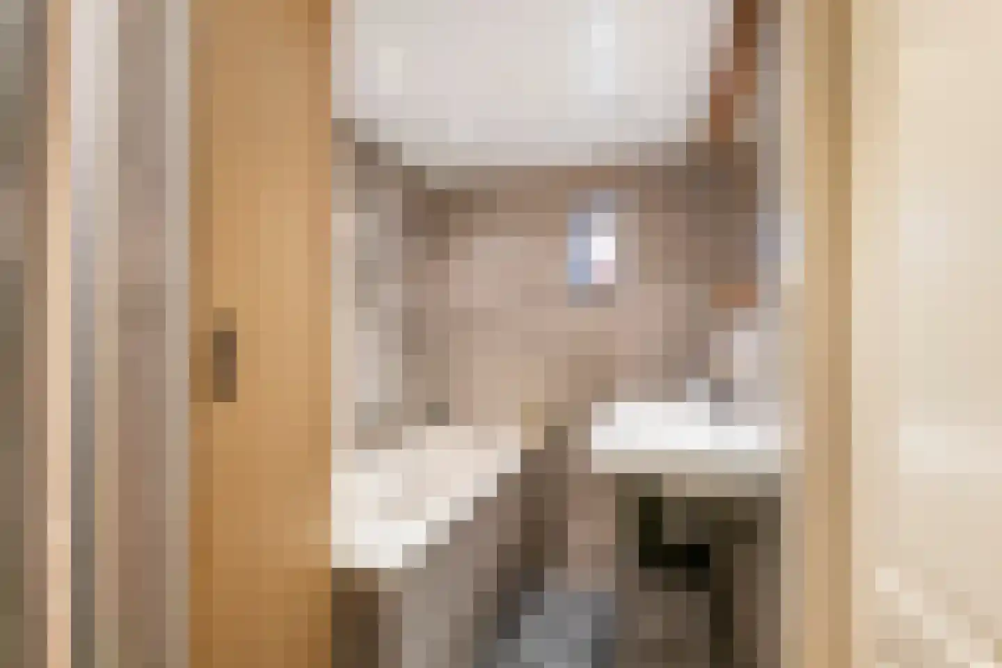 Poppelenburgerstraat 36 Geldermalsen thumbnail 9
