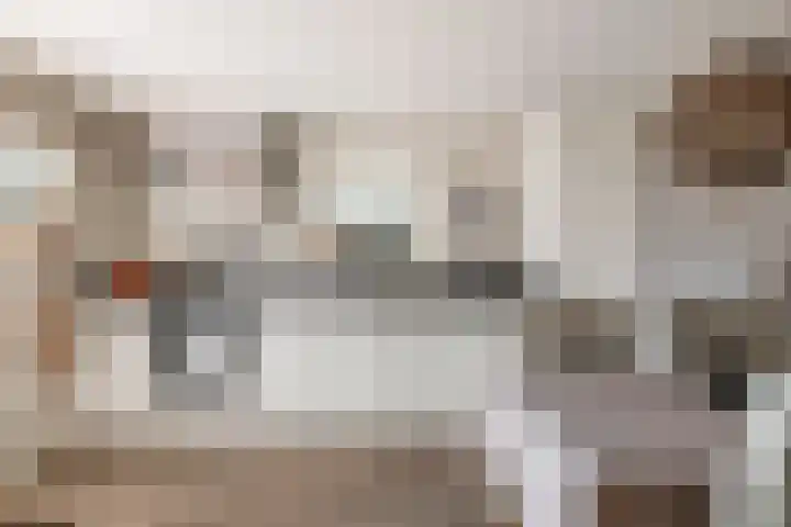Poppelenburgerstraat 48 Geldermalsen thumbnail 10