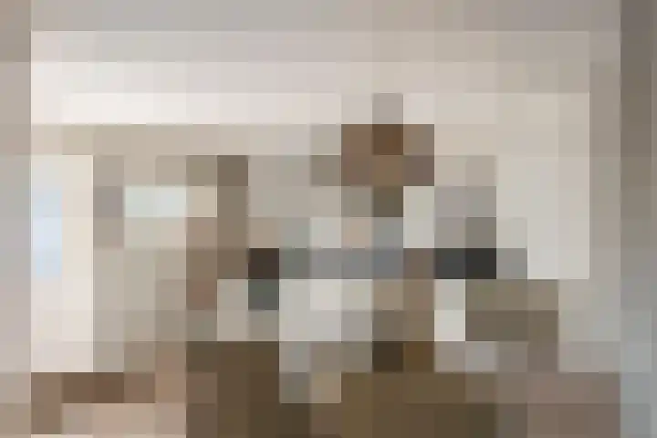 Poppelenburgerstraat 48 Geldermalsen thumbnail 11