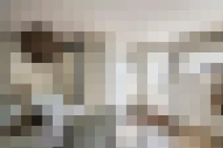 Poppelenburgerstraat 48 Geldermalsen thumbnail 12