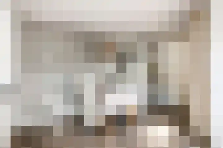 Poppelenburgerstraat 48 Geldermalsen thumbnail 13