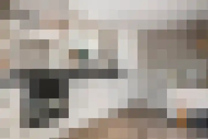 Poppelenburgerstraat 48 Geldermalsen thumbnail 14