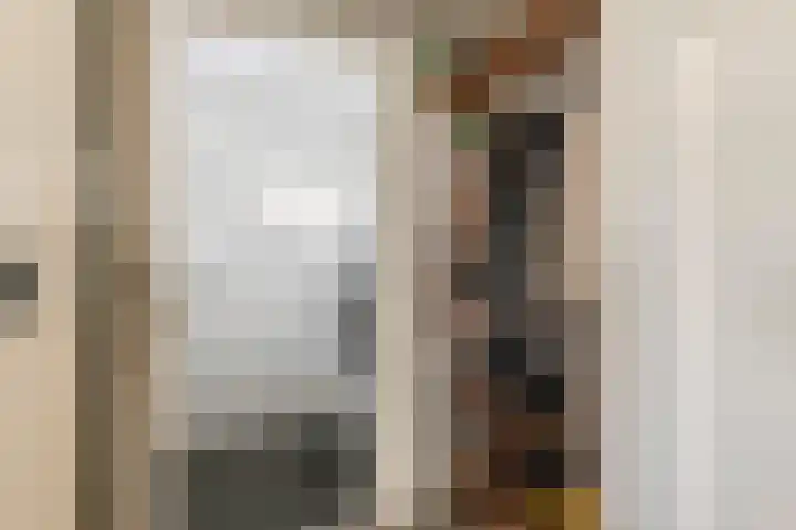 Poppelenburgerstraat 48 Geldermalsen thumbnail 15