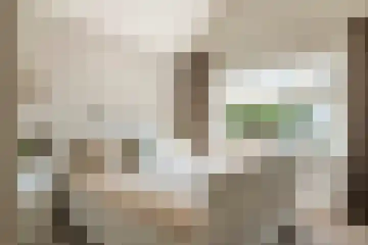 Poppelenburgerstraat 48 Geldermalsen thumbnail 16