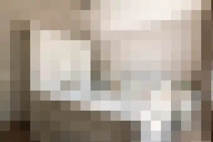Poppelenburgerstraat 48 Geldermalsen thumbnail 17
