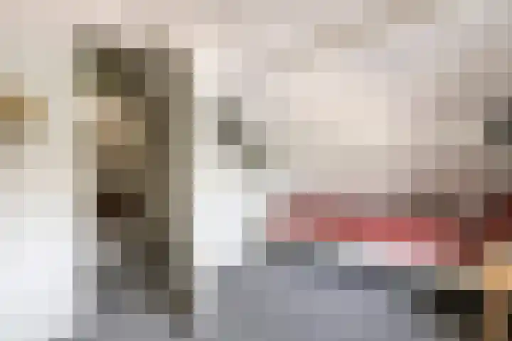Poppelenburgerstraat 48 Geldermalsen thumbnail 23