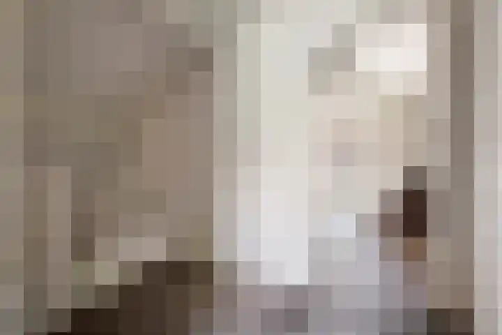 Poppelenburgerstraat 48 Geldermalsen thumbnail 24
