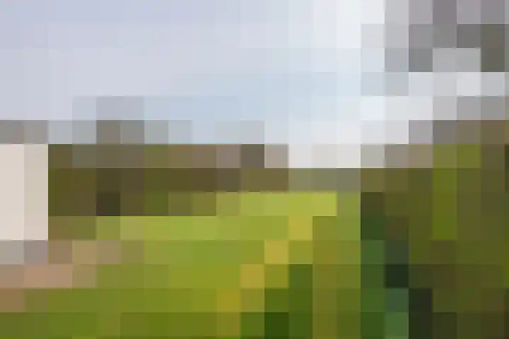 Poppelenburgerstraat 48 Geldermalsen thumbnail 29
