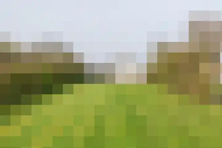Poppelenburgerstraat 48 Geldermalsen thumbnail 31