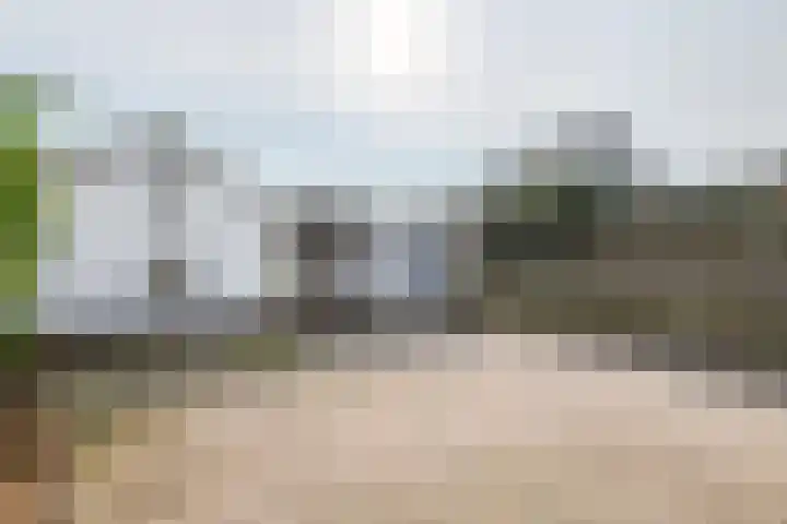 Poppelenburgerstraat 48 Geldermalsen thumbnail 33