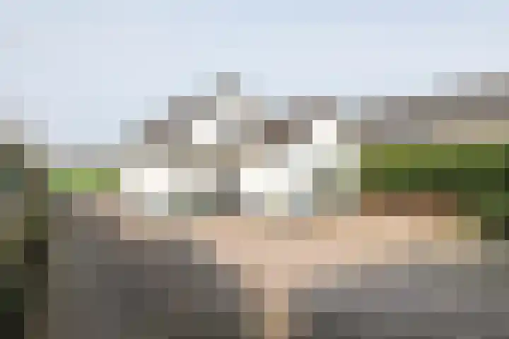 Poppelenburgerstraat 48 Geldermalsen thumbnail 34