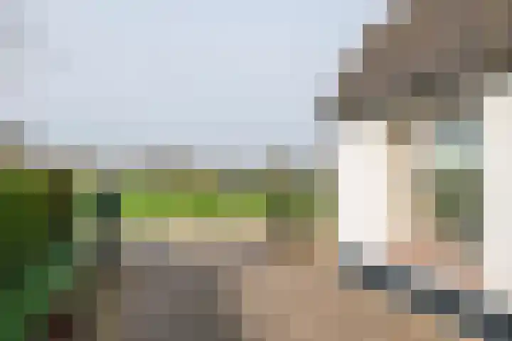 Poppelenburgerstraat 48 Geldermalsen thumbnail 35