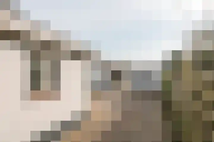 Poppelenburgerstraat 48 Geldermalsen thumbnail 36
