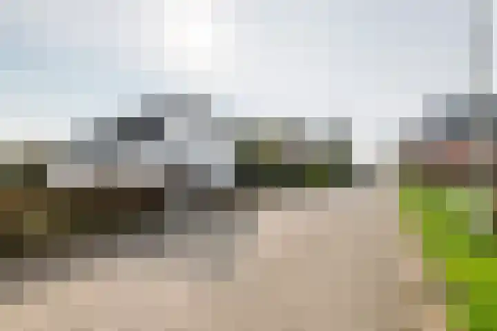 Poppelenburgerstraat 48 Geldermalsen thumbnail 37